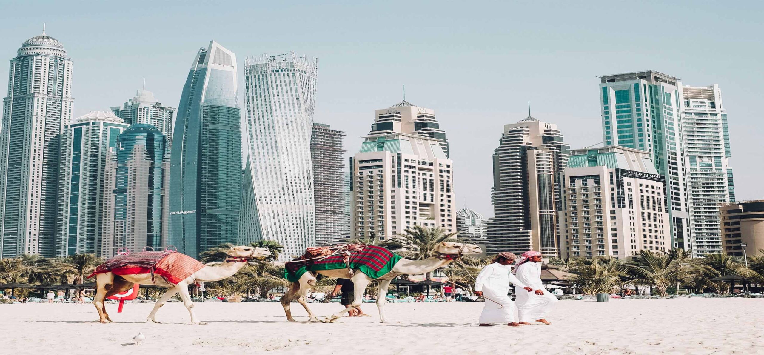 fuji in area oman - muscat